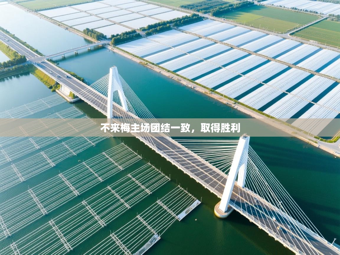 不来梅主场团结一致，取得胜利  第2张