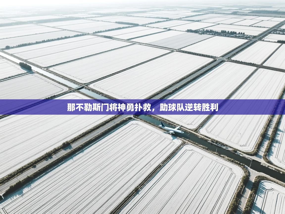 那不勒斯门将神勇扑救，助球队逆转胜利  第1张