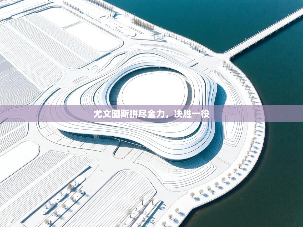 尤文图斯拼尽全力,决胜一役 第1张