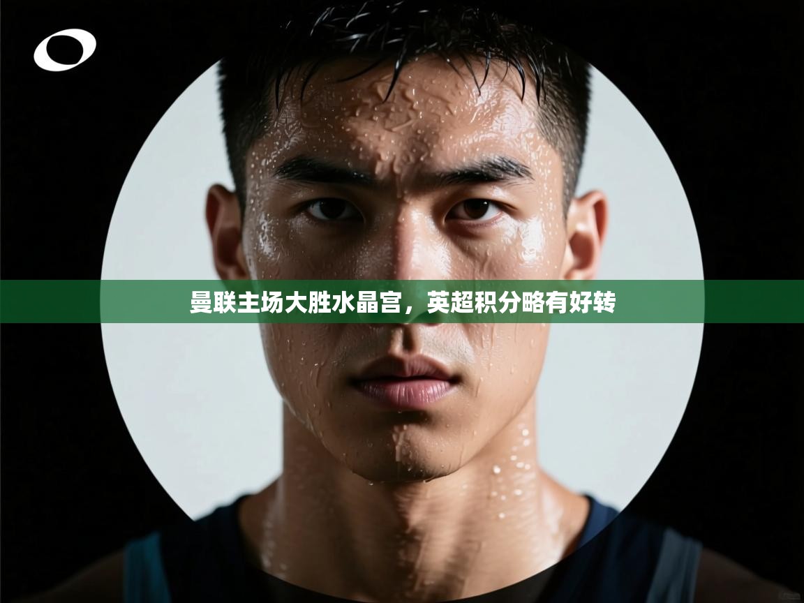 曼联主场大胜水晶宫，英超积分略有好转  第2张