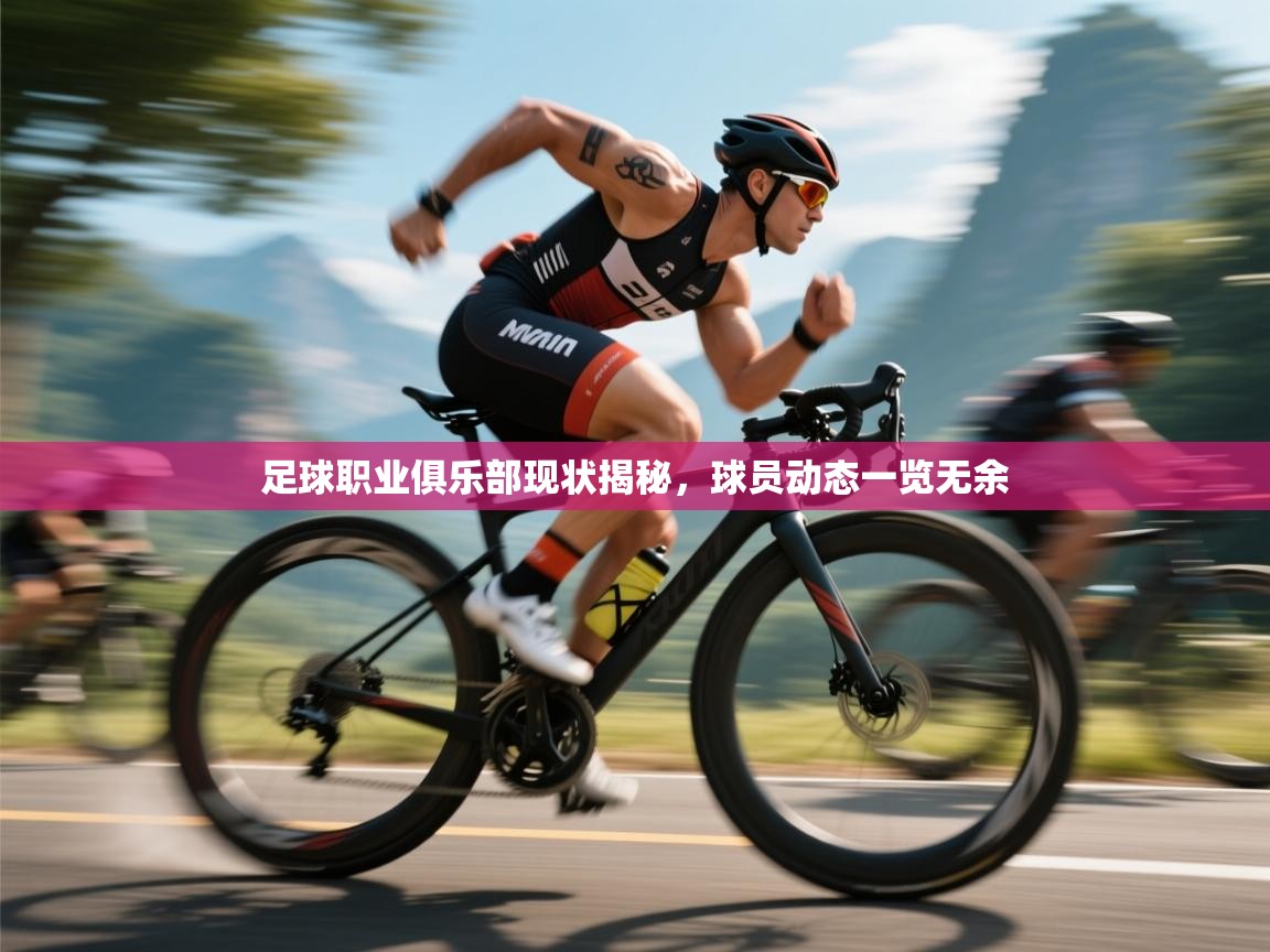 足球职业俱乐部现状揭秘，球员动态一览无余  第1张