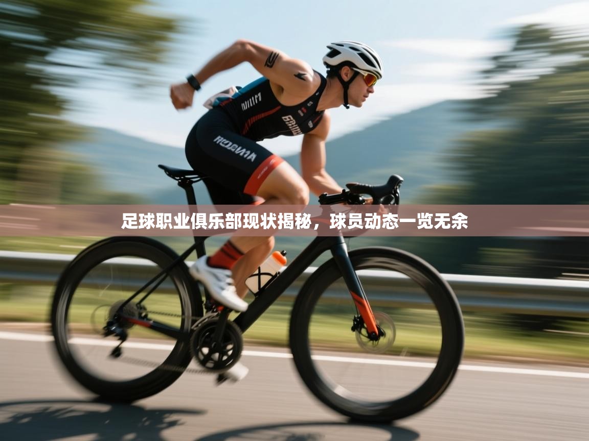 足球职业俱乐部现状揭秘，球员动态一览无余  第2张