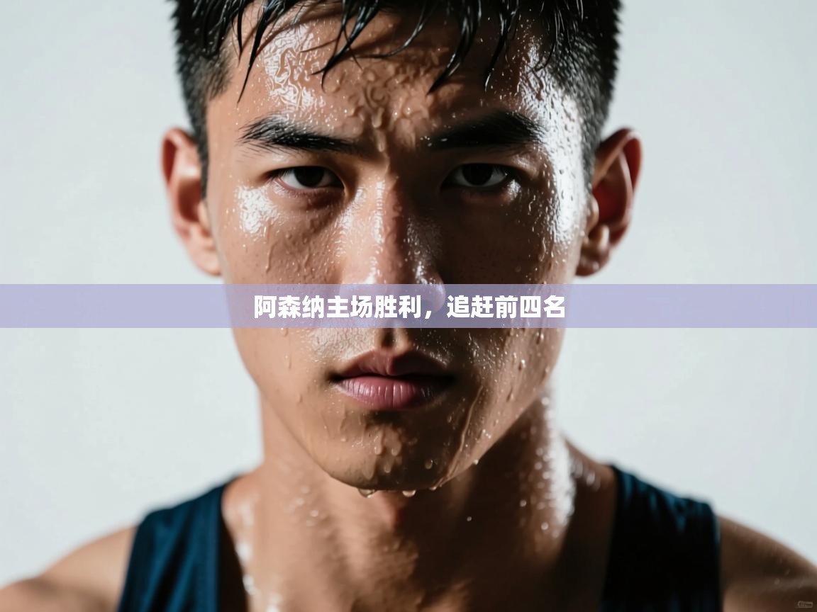 阿森纳主场胜利,追赶前四名 第2张