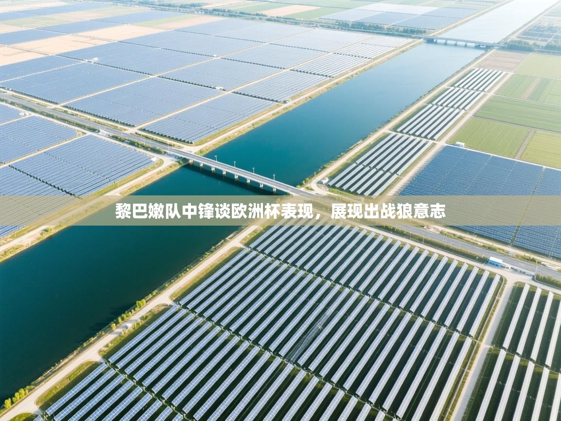 黎巴嫩队中锋谈欧洲杯表现，展现出战狼意志  第1张