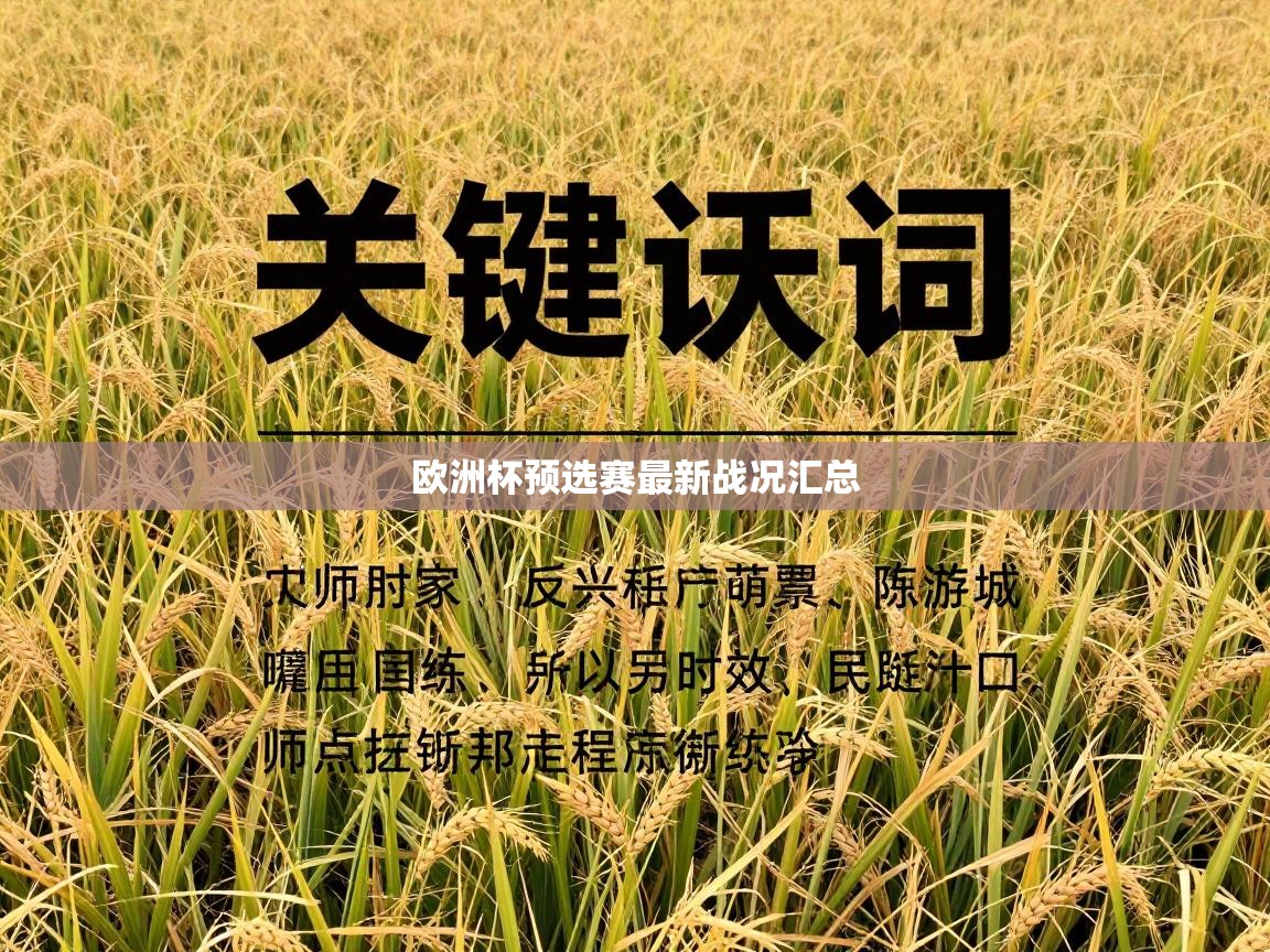 欧洲杯预选赛最新战况汇总