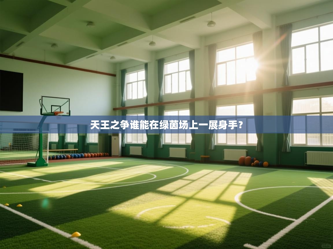 天王之争谁能在绿茵场上一展身手? 第2张