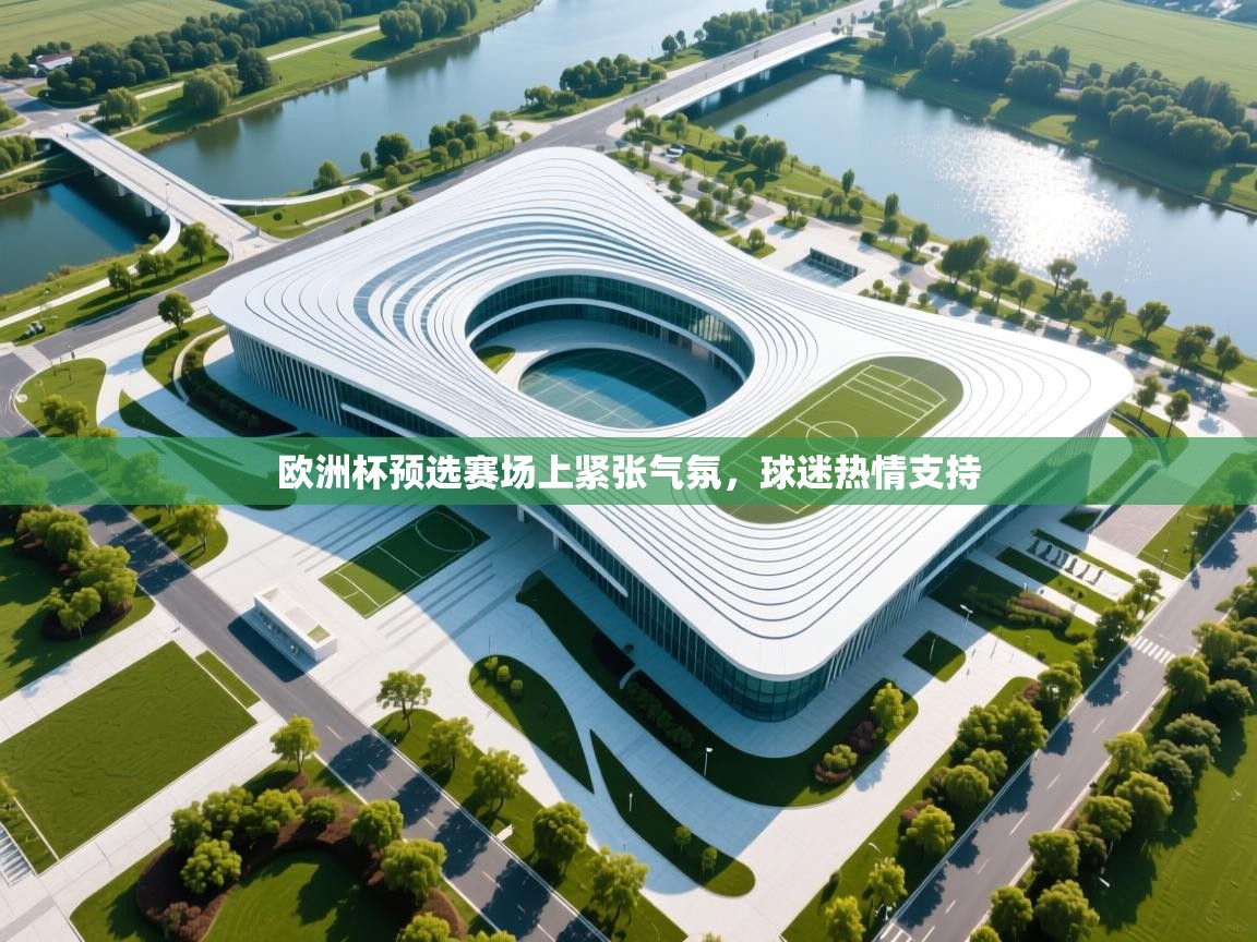 欧洲杯预选赛场上紧张气氛，球迷热情支持