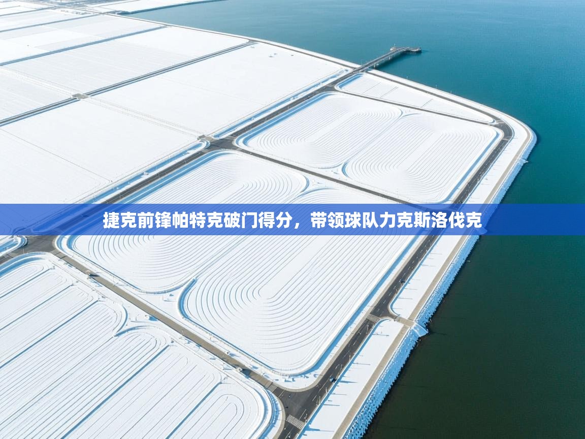 捷克前锋帕特克破门得分，带领球队力克斯洛伐克  第1张