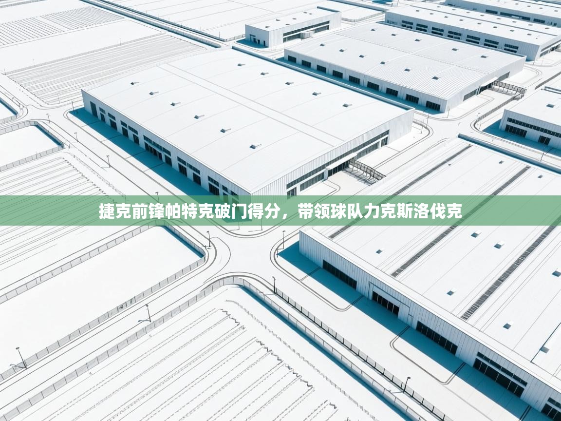 捷克前锋帕特克破门得分，带领球队力克斯洛伐克  第2张