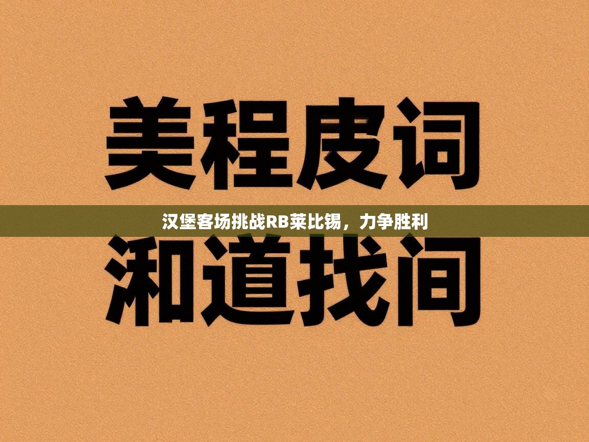 汉堡客场挑战RB莱比锡，力争胜利  第1张